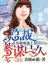 再婚难逃①总裁，蓄谋已久